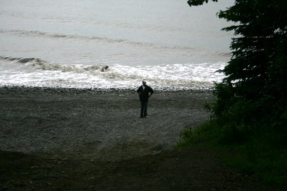 Person on rocky beach with ocean waves