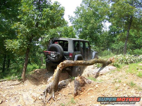 Olive green Jeep Wrangler navigating a rocky, wooded trail with a fallen tree