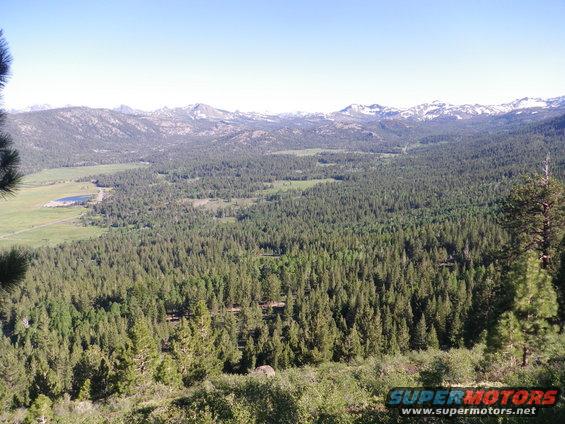 wide shot of a valley with trees and mountains in the distance