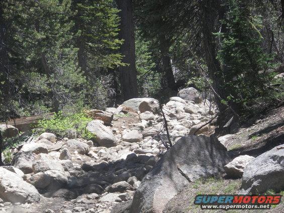 Rocky mountain trail with large boulders and pine trees