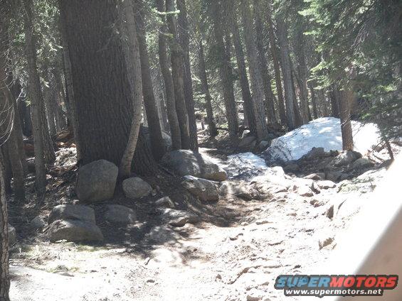forest trail with rocks and patches of snow, trees on either side