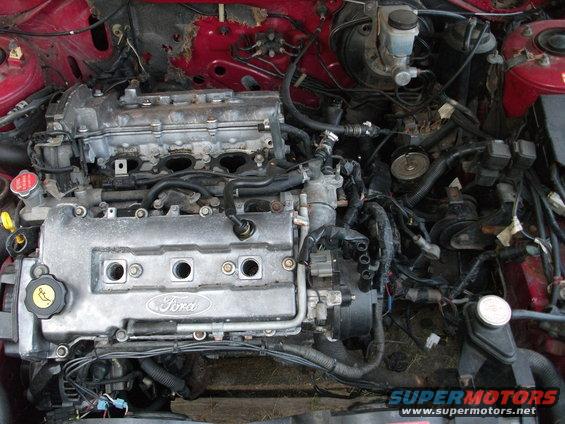 Close-up of a Ford engine with lots of wires and hoses. The valve cover has 'Ford' written on it