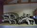 DSCF1213.JPG