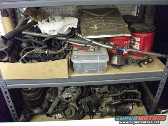 Shelves filled with automotive parts including hoses, wires, and engine components