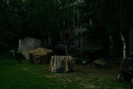 Light-colored SUV parked in front of a building, partially obscured by trees. Rear view shows taillights