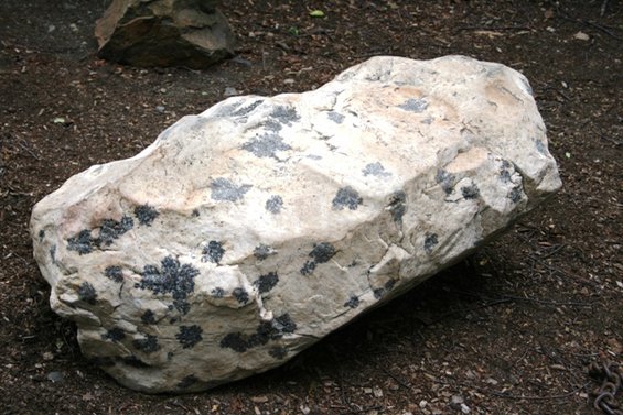 Large rock with dark mineral inclusions on the ground