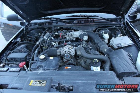 Black 2007 Ford Crown Victoria engine bay with hood open, showing the V8 engine and various components