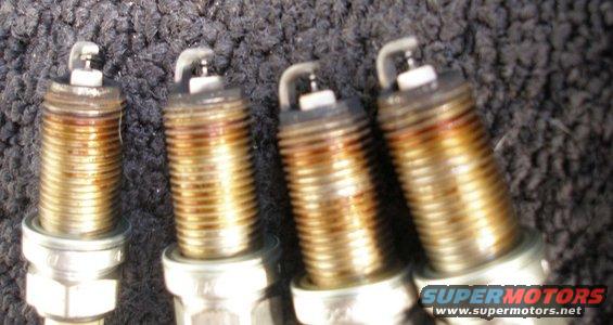 4-plugs.jpg 