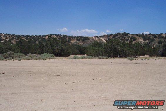 Desert landscape with scrub brush, trees, and a dirt clearing under a blue sky