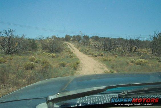 Dirt road winding through dry brush and trees under a clear blue sky. View from inside a vehicle