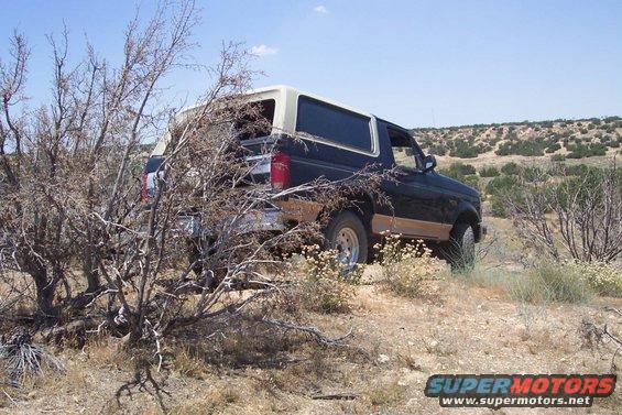 Black and tan Ford Bronco parked in a dry, brushy landscape