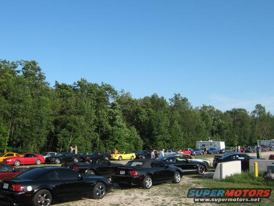 Black Ford Mustang convertible parked in a lot with other Mustangs
