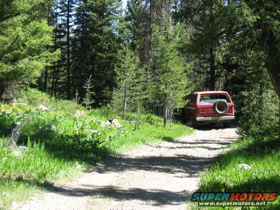 Red SUV parked on a dirt road in a forest, spare tire mounted on the rear door