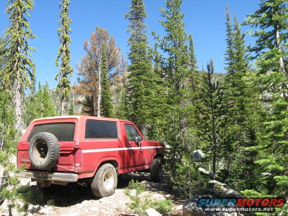 Red Ford Bronco with spare tire on rear door, parked on dirt road surrounded by pine trees