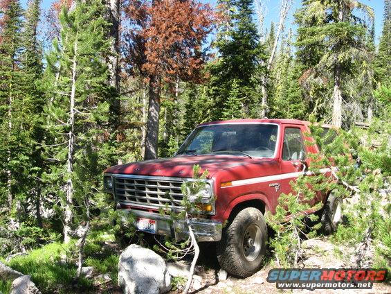 Red 1980 Ford Bronco parked in forest