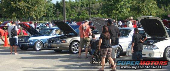 Several Ford Mustangs parked with hoods open at a car show