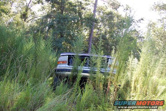 1992 Ford Bronco rear view, partially hidden by tall weeds and a tree growing through it