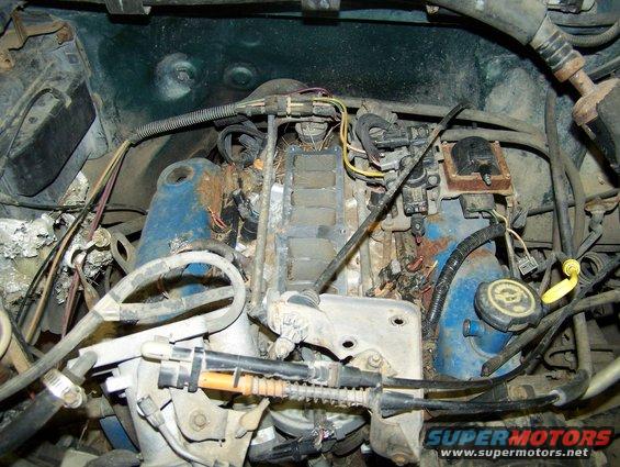 Engine bay with blue valve covers and visible wiring