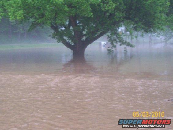Flooded area with a large tree in the water; date stamp 05/03/2010 and Supermotors.net logo visible