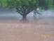 1974 Dodge 1500 - Flooded landscape with a tree submerged in water, timestamped 05/03/2010.