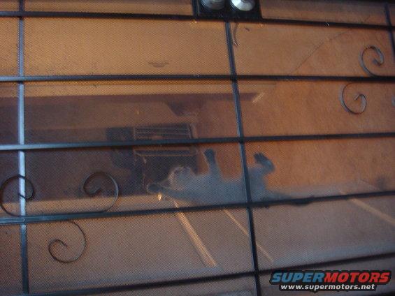 Cat lying on its back behind a screen door