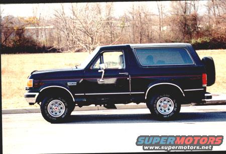 blackbronc1.jpg 