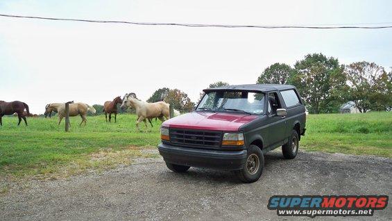 Dark green Ford Bronco with red hood parked on gravel, horses in grassy field behind it
