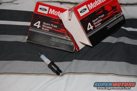 dsc_0701.jpg Motorcraft copper core spark plugs.
SP-450
ASF42C