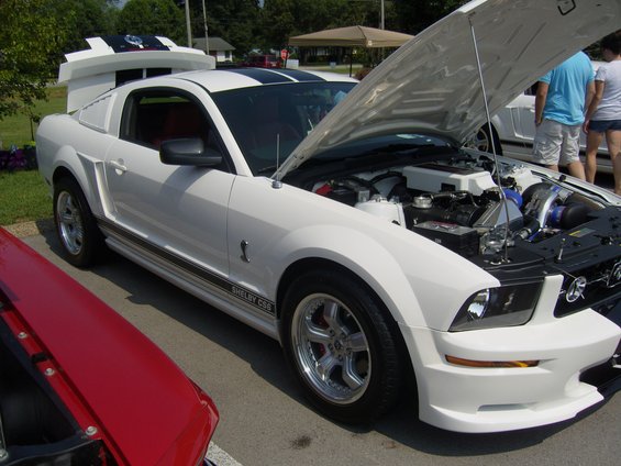 fabulous-fords-2010-054.jpg 