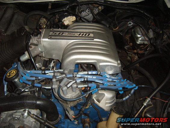 Ford 5.0 HO engine intake manifold and spark plug wires