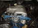 1973 Ford Ranchero - Close-up of a Ford 5.0 HO engine, showing the intake manifold and spark plug wires.