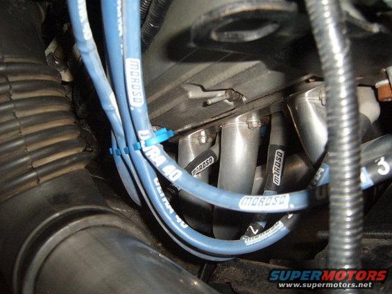 Blue Moroso spark plug wires and exhaust manifold on an engine