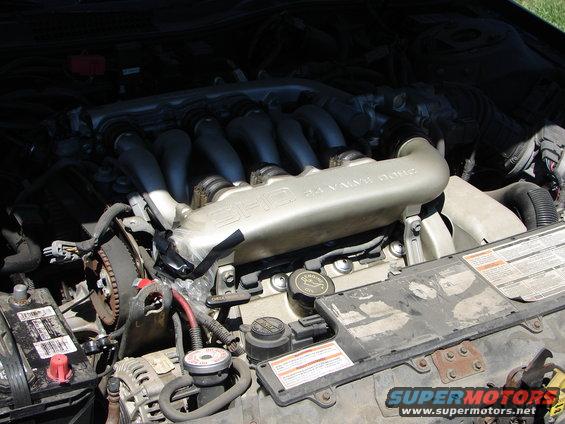 Engine bay with SHO 3.0L 24-valve Duratec intake manifold