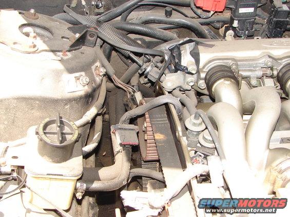 Engine bay shot showing the timing belt and surrounding hoses and wires. Some tape is visible on a component