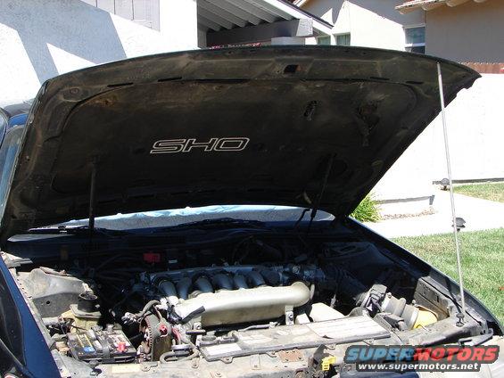 Engine bay with SHO badge on hood