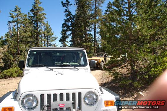 White Jeep Wrangler in foreground, yellow Jeep Wrangler behind it on a dirt road with trees