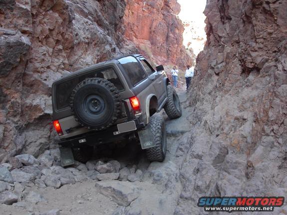 calico4.jpg Odessa Cyn (very tight squeeze here...)