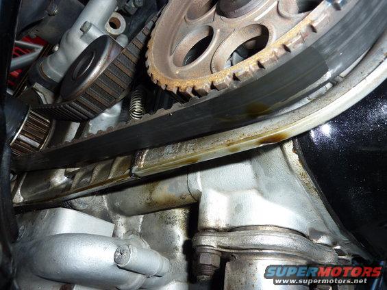 p1020839.jpg Leaky camshaft seal...