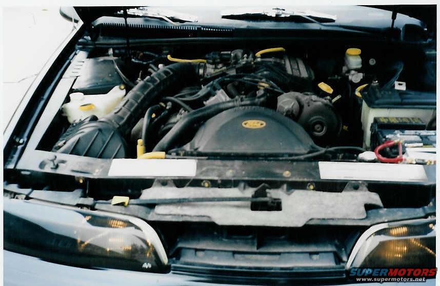 underhood.jpg 