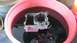 1968 Ford Ranchero - Carburetor parts submerged in cleaning fluid inside a pink tub.