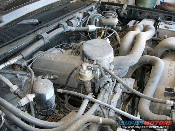 Engine bay with hoses, belts, and engine components visible
