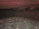 1991 Ford Bronco photo