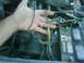 IMG00476-20100822-1808.jpg