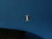 DSCN1083.JPG