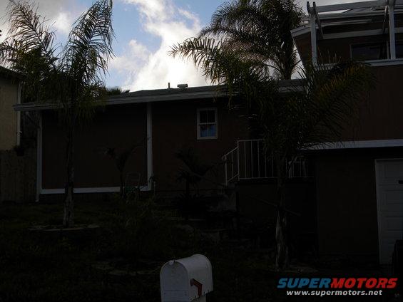 Exterior of a house with palm trees and a mailbox