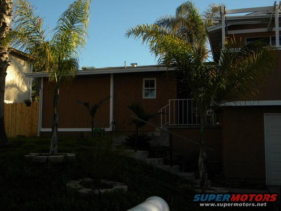House with brown siding, white trim, and palm trees in front