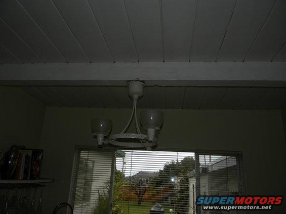 Interior ceiling with a white light fixture and a window showing a backyard scene