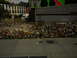 DSCN1129.JPG