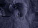 DSCN1149.JPG