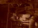 DSCN1150.JPG